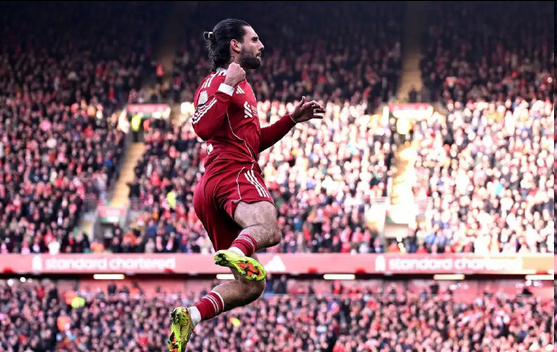 完美体育平台-索博：为什么！图尔多：不好意思，谢谢你！